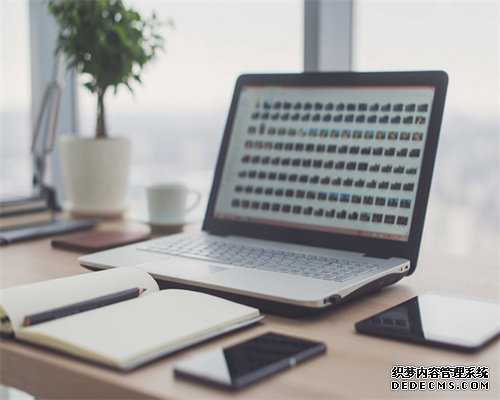阅读说明书的英文，GRE备考方法及各自优缺点